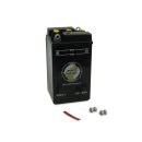 Batterie 6V 8,0Ah (AWS) ohne Säurepack schwarz IWL...
