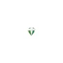 Anstecknadel / Emblem / Pin MZ Logo grün/weiß